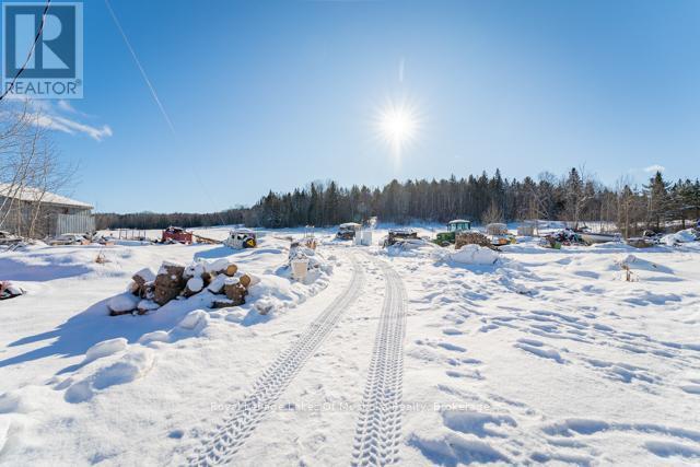 












1524 HEKKLA ROAD

,
Muskoka Lakes (Cardwell),




Ontario
P0C1J0

