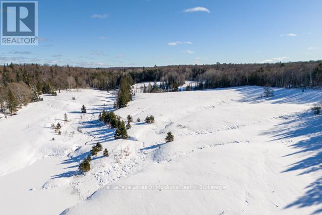 












1524 HEKKLA ROAD

,
Muskoka Lakes (Cardwell),




Ontario
P0C1J0

