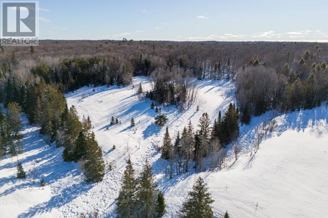 












1524 HEKKLA ROAD

,
Muskoka Lakes (Cardwell),




Ontario
P0C1J0

