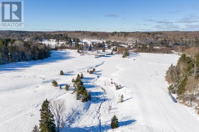 












1524 HEKKLA ROAD

,
Muskoka Lakes (Cardwell),




Ontario
P0C1J0

