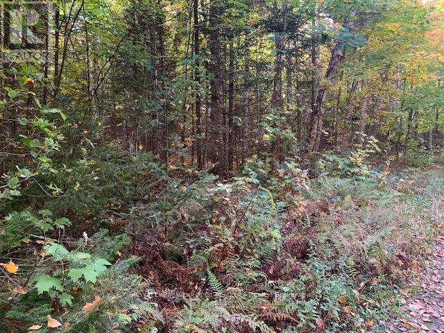 












0 SUGAR BUSH ROAD E

,
Magnetawan,







Ontario
P0A1P0

