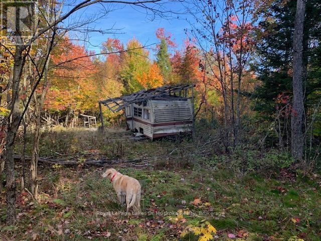 












0 SUGAR BUSH ROAD E

,
Magnetawan,







Ontario
P0A1P0

