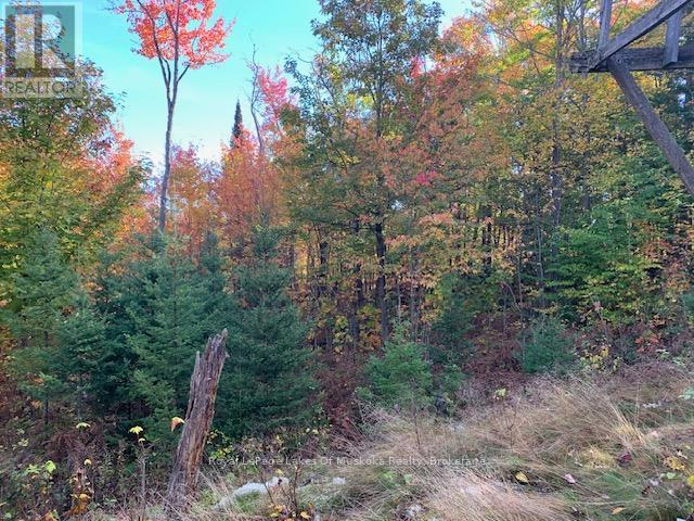 












0 SUGAR BUSH ROAD E

,
Magnetawan,







Ontario
P0A1P0

