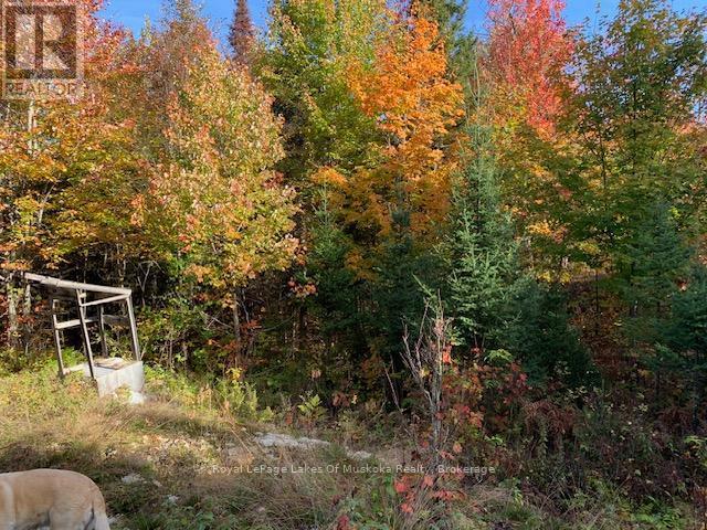 












0 SUGAR BUSH ROAD E

,
Magnetawan,







Ontario
P0A1P0

