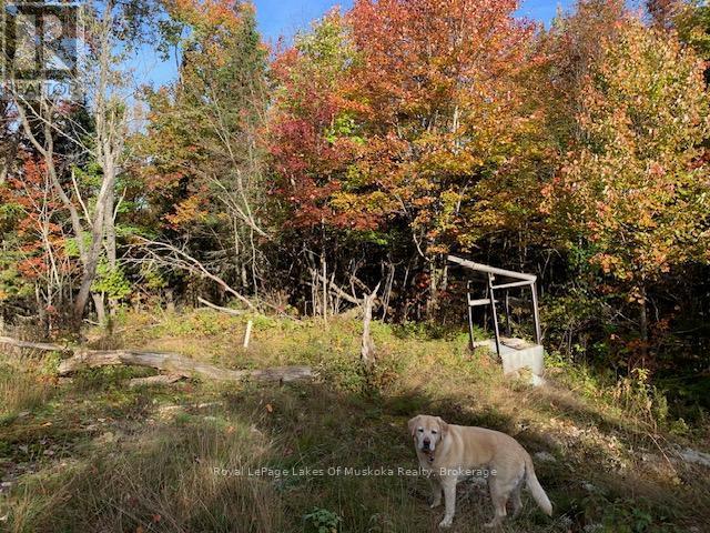 












0 SUGAR BUSH ROAD E

,
Magnetawan,







Ontario
P0A1P0

