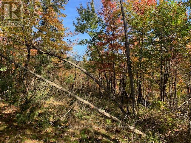 












0 SUGAR BUSH ROAD E

,
Magnetawan,







Ontario
P0A1P0

