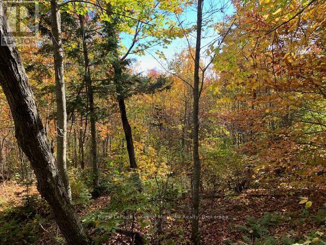 












0 SUGAR BUSH ROAD E

,
Magnetawan,







Ontario
P0A1P0

