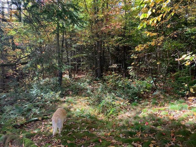 












0 SUGAR BUSH ROAD E

,
Magnetawan,







Ontario
P0A1P0

