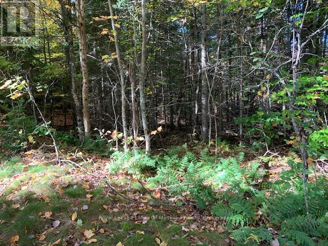 












0 SUGAR BUSH ROAD E

,
Magnetawan,







Ontario
P0A1P0

