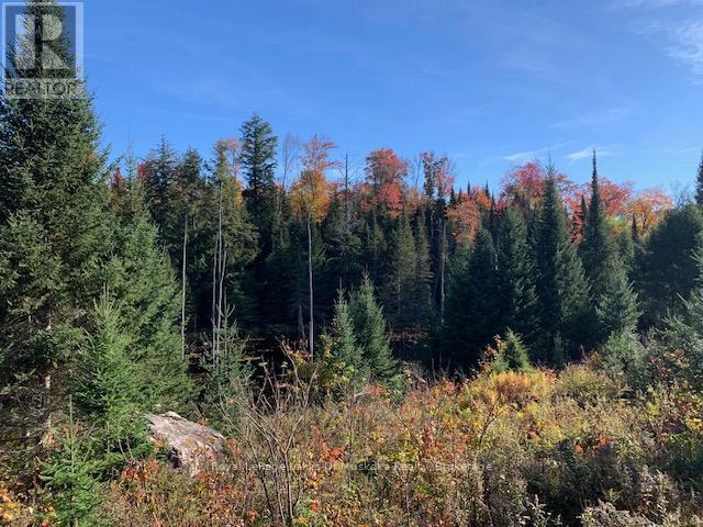 












0 SUGAR BUSH ROAD E

,
Magnetawan,







Ontario
P0A1P0

