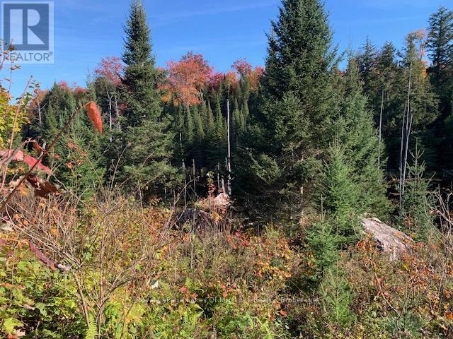 












0 SUGAR BUSH ROAD E

,
Magnetawan,







Ontario
P0A1P0

