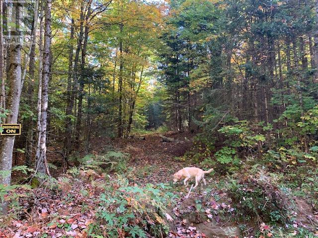 












0 SUGAR BUSH ROAD E

,
Magnetawan,







Ontario
P0A1P0

