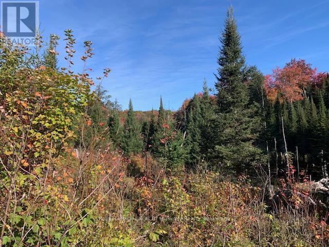 












0 SUGAR BUSH ROAD E

,
Magnetawan,







Ontario
P0A1P0


