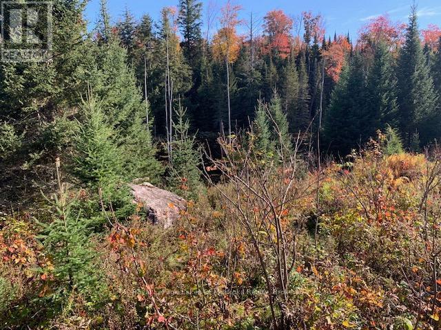 












0 SUGAR BUSH ROAD E

,
Magnetawan,







Ontario
P0A1P0


