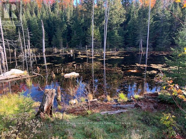 












0 SUGAR BUSH ROAD E

,
Magnetawan,







Ontario
P0A1P0


