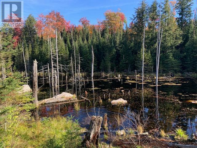 












0 SUGAR BUSH ROAD E

,
Magnetawan,







Ontario
P0A1P0

