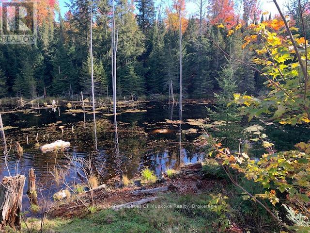 












0 SUGAR BUSH ROAD E

,
Magnetawan,







Ontario
P0A1P0

