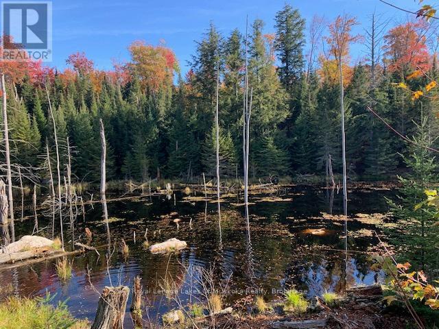 












0 SUGAR BUSH ROAD E

,
Magnetawan,







Ontario
P0A1P0

