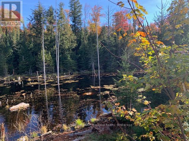 












0 SUGAR BUSH ROAD E

,
Magnetawan,







Ontario
P0A1P0

