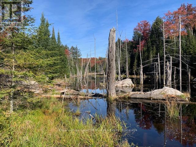 












0 SUGAR BUSH ROAD E

,
Magnetawan,







Ontario
P0A1P0

