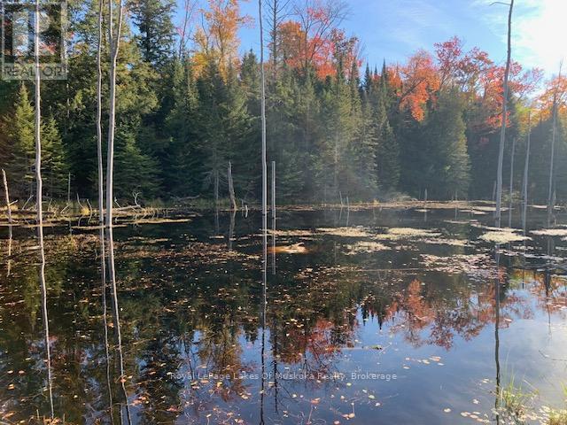 












0 SUGAR BUSH ROAD E

,
Magnetawan,







Ontario
P0A1P0


