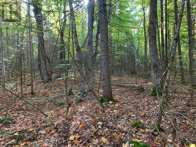 












0 SUGAR BUSH ROAD E

,
Magnetawan,







Ontario
P0A1P0

