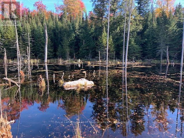 












0 SUGAR BUSH ROAD E

,
Magnetawan,







Ontario
P0A1P0

