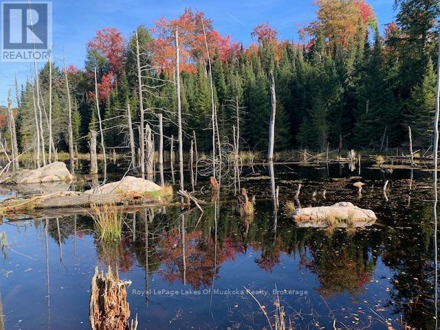 












0 SUGAR BUSH ROAD E

,
Magnetawan,







Ontario
P0A1P0

