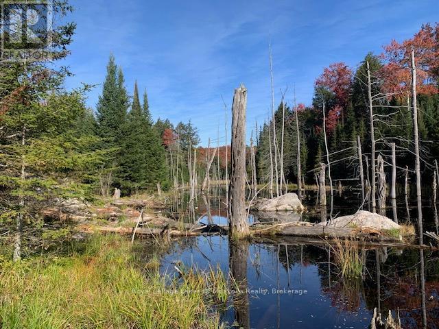 












0 SUGAR BUSH ROAD E

,
Magnetawan,







Ontario
P0A1P0

