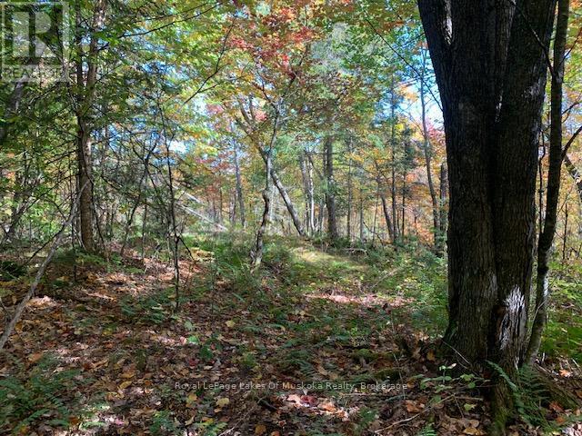 












0 SUGAR BUSH ROAD E

,
Magnetawan,







Ontario
P0A1P0

