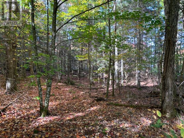 












0 SUGAR BUSH ROAD E

,
Magnetawan,







Ontario
P0A1P0

