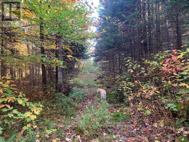 












0 SUGAR BUSH ROAD E

,
Magnetawan,







Ontario
P0A1P0

