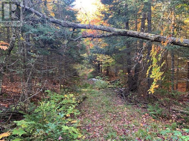 












0 SUGAR BUSH ROAD E

,
Magnetawan,







Ontario
P0A1P0

