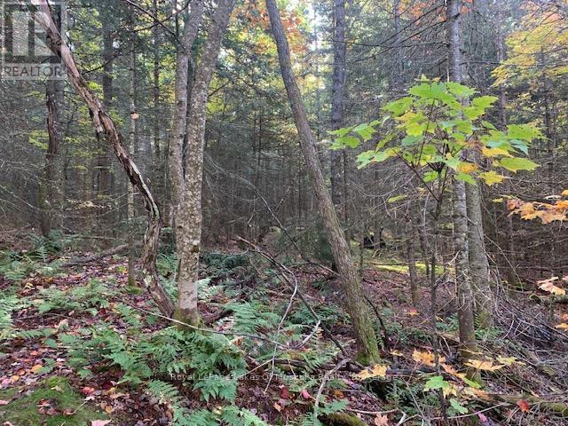 












0 SUGAR BUSH ROAD E

,
Magnetawan,







Ontario
P0A1P0

