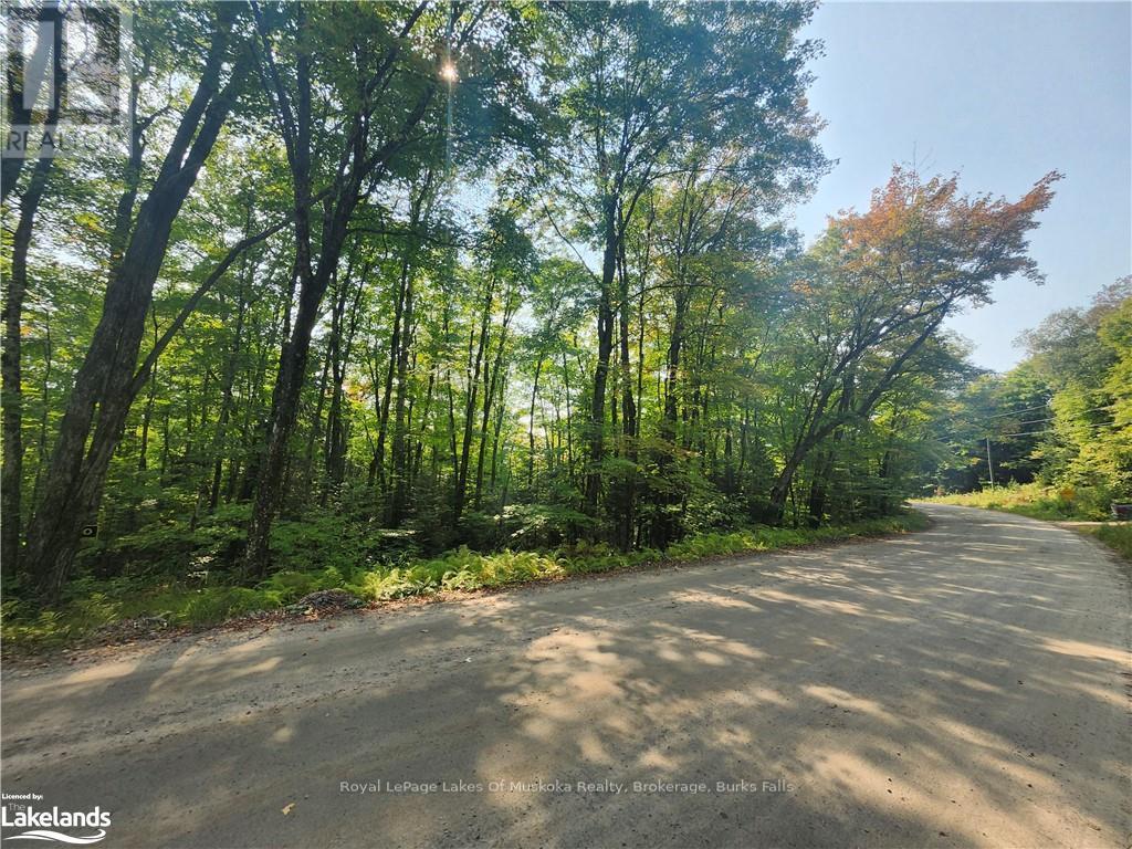 












0 SOUTH HORN LAKE ROAD

,
Strong,







Ontario
P0A1C0

