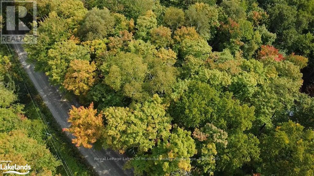 












0 SOUTH HORN LAKE ROAD

,
Strong,







Ontario
P0A1C0

