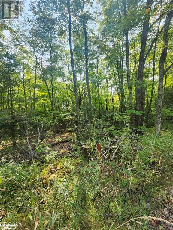 












0 SOUTH HORN LAKE ROAD

,
Strong,







Ontario
P0A1C0

