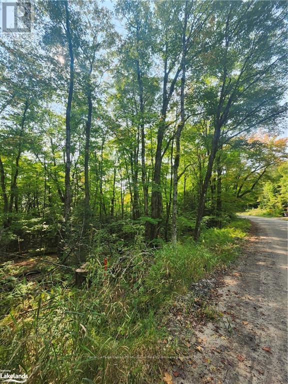 












0 SOUTH HORN LAKE ROAD

,
Strong,







Ontario
P0A1C0

