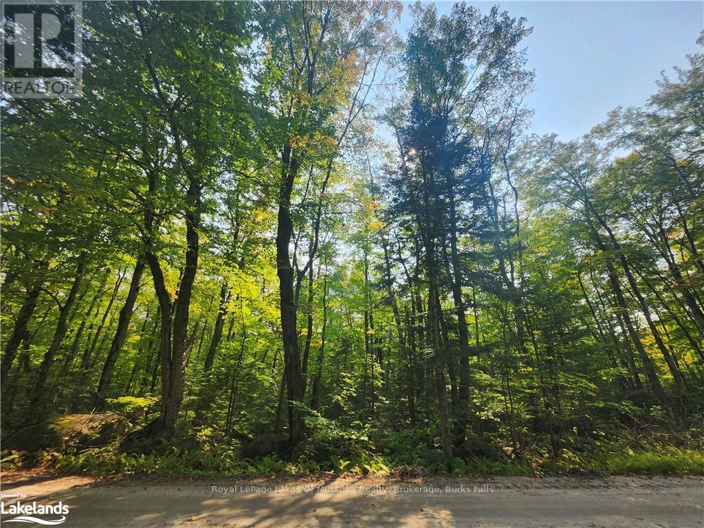












0 SOUTH HORN LAKE ROAD

,
Strong,







Ontario
P0A1C0

