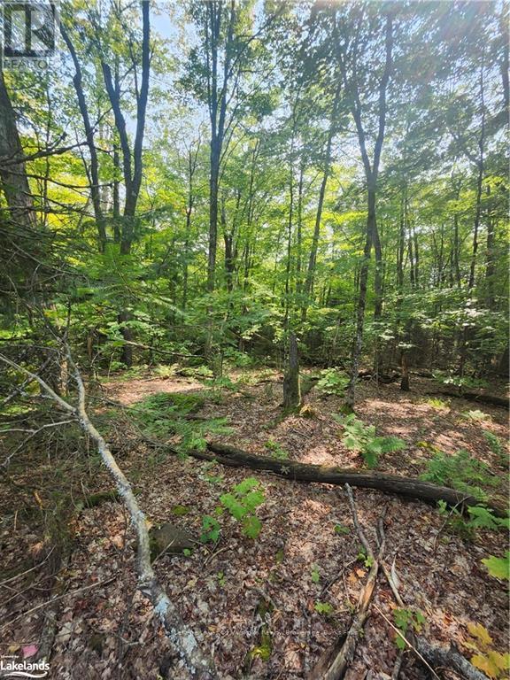 












0 SOUTH HORN LAKE ROAD

,
Strong,







Ontario
P0A1C0

