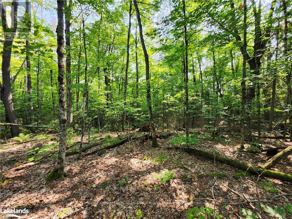 












0 SOUTH HORN LAKE ROAD

,
Strong,







Ontario
P0A1C0

