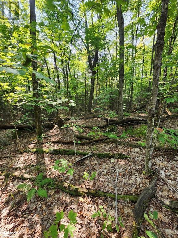 












0 SOUTH HORN LAKE ROAD

,
Strong,







Ontario
P0A1C0

