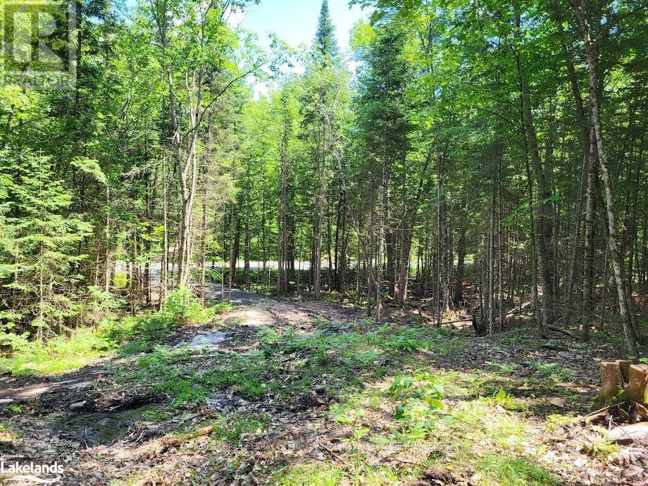 












LOT 5 FAIRY FALLS ROAD

,
Lake of Bays (Mclean),







Ontario
P0B1A0

