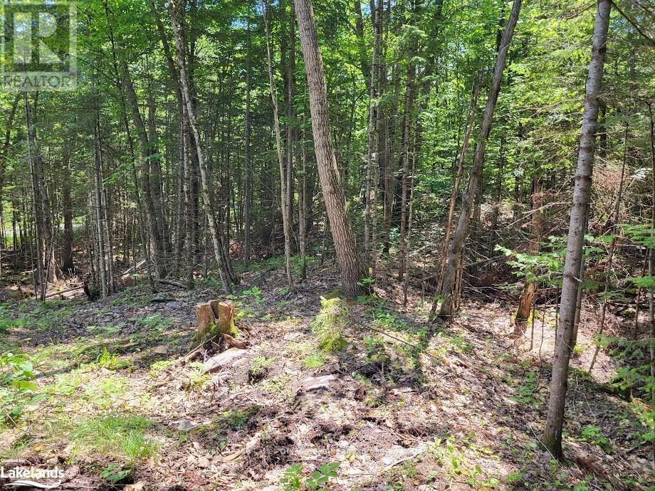 












LOT 5 FAIRY FALLS ROAD

,
Lake of Bays (Mclean),







Ontario
P0B1A0

