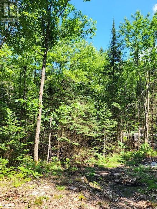 












LOT 5 FAIRY FALLS ROAD

,
Lake of Bays (Mclean),







Ontario
P0B1A0

