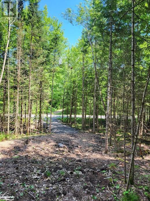 












LOT 5 FAIRY FALLS ROAD

,
Lake of Bays (Mclean),







Ontario
P0B1A0

