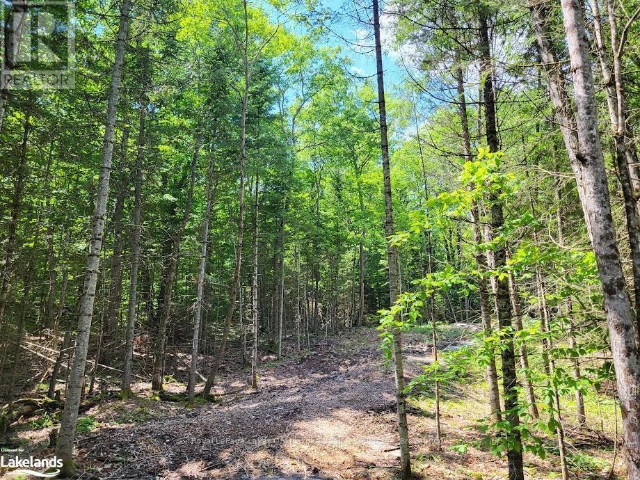 












LOT 5 FAIRY FALLS ROAD

,
Lake of Bays (Mclean),







Ontario
P0B1A0

