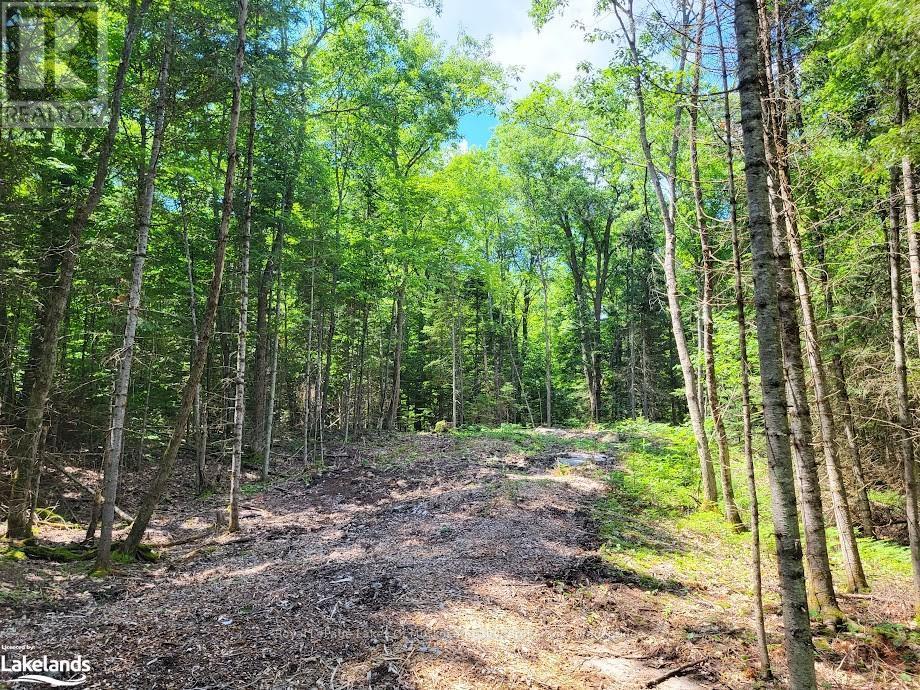 












LOT 5 FAIRY FALLS ROAD

,
Lake of Bays (Mclean),







Ontario
P0B1A0

