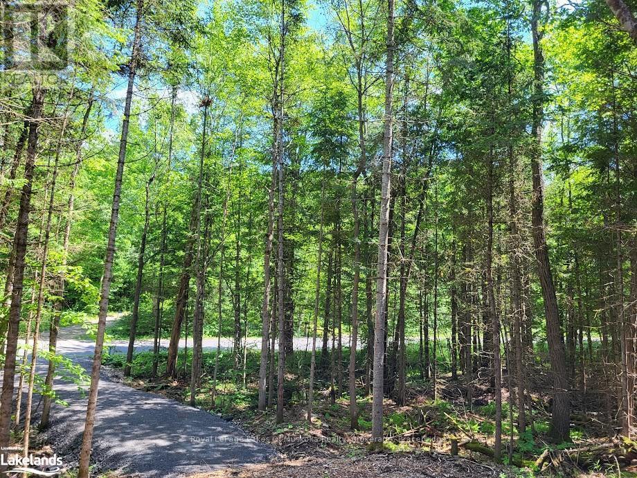 












LOT 5 FAIRY FALLS ROAD

,
Lake of Bays (Mclean),







Ontario
P0B1A0


