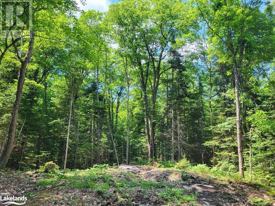 












LOT 5 FAIRY FALLS ROAD

,
Lake of Bays (Mclean),







Ontario
P0B1A0


